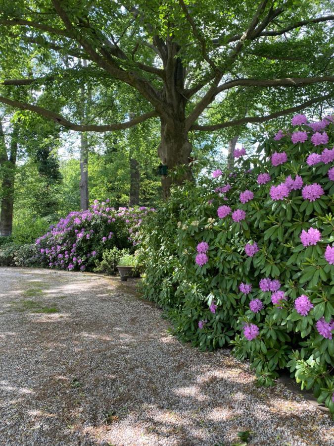 Bed&Breakfast Villa Beldershoek Hengelo  Eksteriør billede